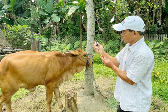 Chủ động kiểm tra, giám sát, xử lý kịp thời dịch bệnh trên gia súc, gia cầm và thủy sản
