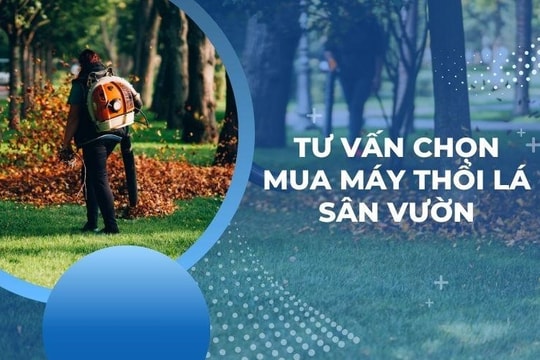 Siêu thị Hải Minh – Địa chỉ cung cấp máy thổi lá sân vườn uy tín