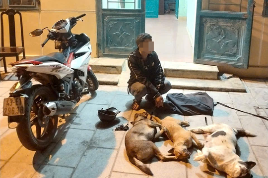 Bắt quả tang kẻ trộm chó lúc rạng sáng