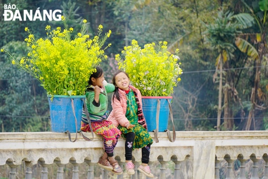 Một mùa hoa, một điểm đến