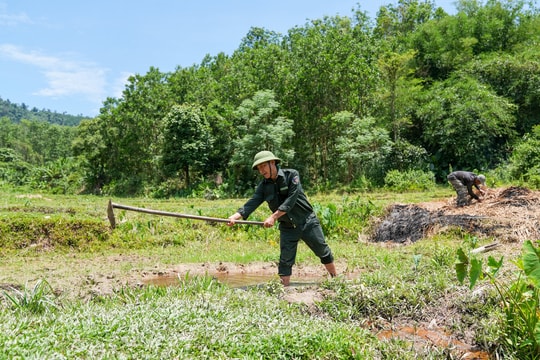 Bắc Trà My chuyển hóa địa bàn trọng điểm về quản lý, bảo vệ rừng