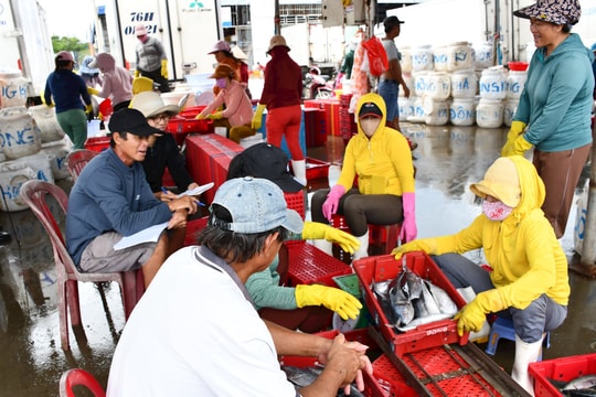 Chủ động thích ứng trong sản xuất, tiêu thụ nông - lâm - thủy sản trước biến động thương mại toàn cầu