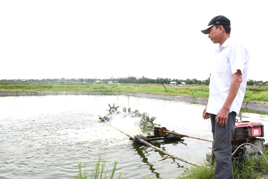 Ngành chức năng và nông dân Quảng Nam cùng gỡ khó cho nuôi tôm nước lợ