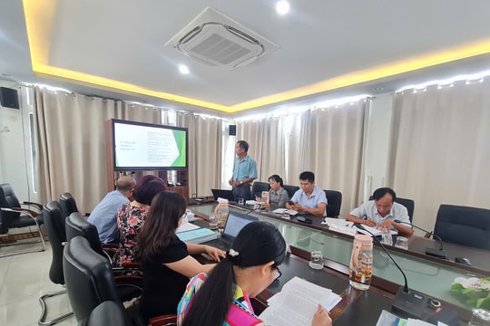 Xây dựng mô hình sản xuất giống và trồng, chăm sóc cây tiêu Tiên Phước theo hướng bền vững