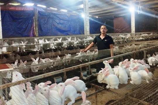 Làm giàu chính đáng trên quê hương Đại Lộc