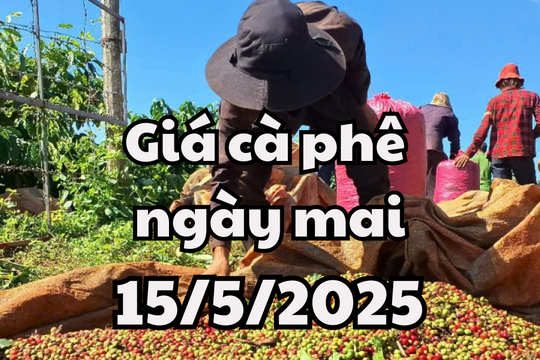 Tin tức, dự báo giá cà phê ngày mai 15/5/2025: Tiếp tục chuỗi tăng nhẹ