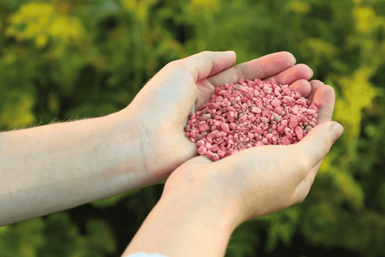 Giá phân bón ngày 15/5/2025: Lặng sóng, duy trì đi ngang