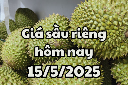 Giá sầu riêng hôm nay 15/5/2025: Việt Nam đối mặt với quy định xuất khẩu mới