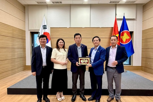 Lãnh đạo tỉnh Quảng Nam chào xã giao Đại sứ quán Việt Nam tại Seoul, Hàn Quốc