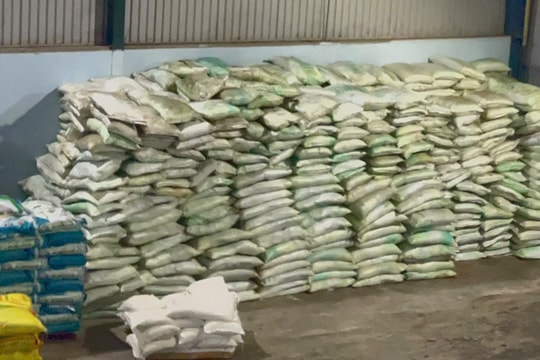 Giá phân bón hôm nay 16/5: Tăng mạnh tại Đông Nam Bộ và Tây Nguyên