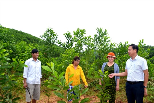 Điều chỉnh nội dung chương trình phát triển kinh tế - xã hội vùng dân tộc thiểu số và miền núi