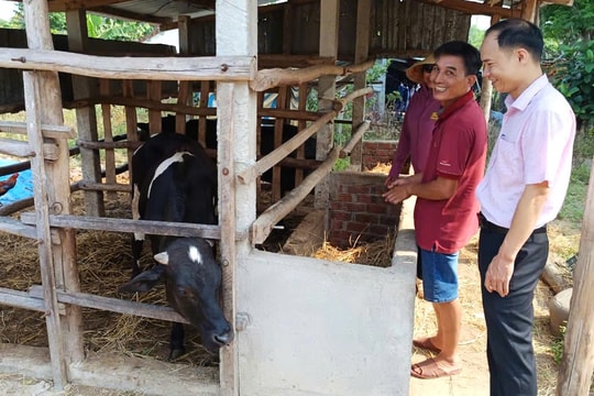 Tín dụng chính sách xã hội , "đòn bẩy” tạo việc làm, giảm nghèo bền vững ở Phú Ninh
