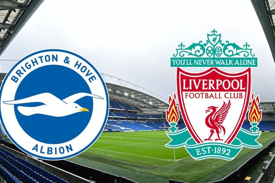Nhận định, dự đoán Brighton vs Liverpool: Cơ hội vào top 8