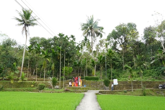 Sôi nổi phong trào thi đua yêu nước ở Tiên Phước