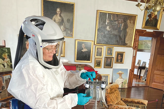 Nấm trắng lặng lẽ tàn phá bảo tàng Đan Mạch