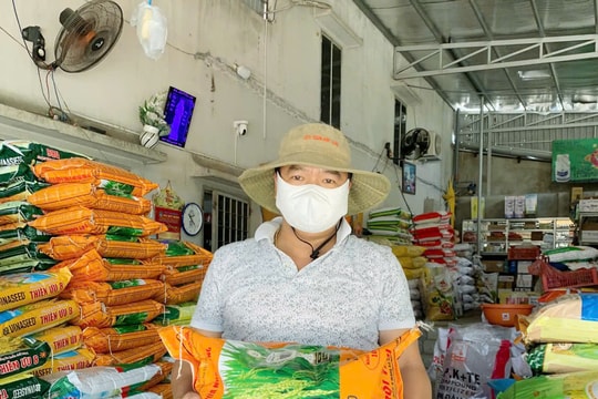 Lịch thời vụ và cơ cấu giống vụ lúa hè thu 2025