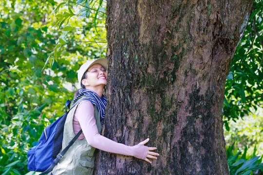 Say đắm Tây Giang