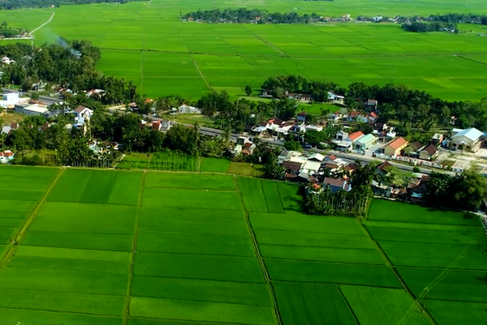 Núi Thành chú trọng sản xuất nông nghiệp xanh