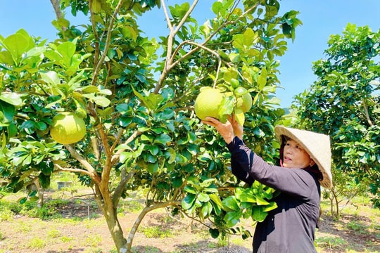 Mỹ Sơn xây dựng làng quê đáng sống