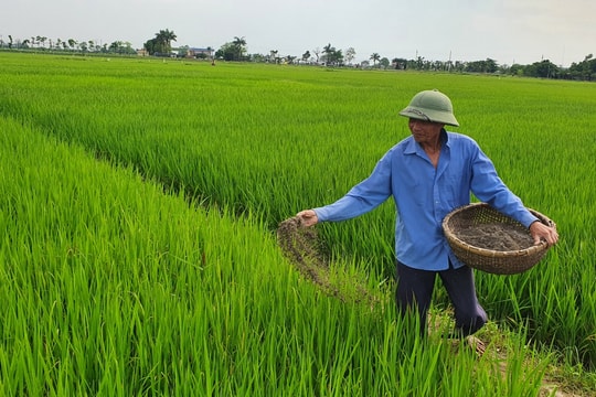 Giá phân bón ngày 22/5: Giao dịch trầm lắng