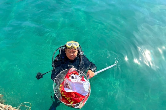 Thu gom rác, bắt sao biển gai làm sạch biển Cù Lao Chàm