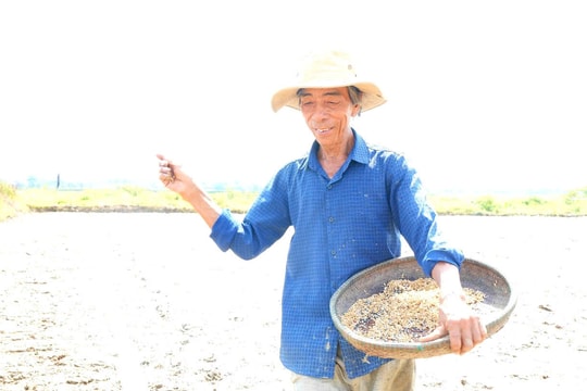 Nông dân xứ Quảng kỳ vọng mùa lúa mới