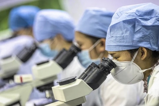 Xu hướng "chất xám" trở về Trung Quốc