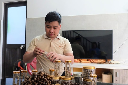 Lê Kim Thái và hành trình khởi nghiệp từ đồng vốn ít ỏi