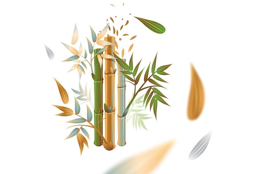 Giá trị văn hóa truyền thống xứ Quảng