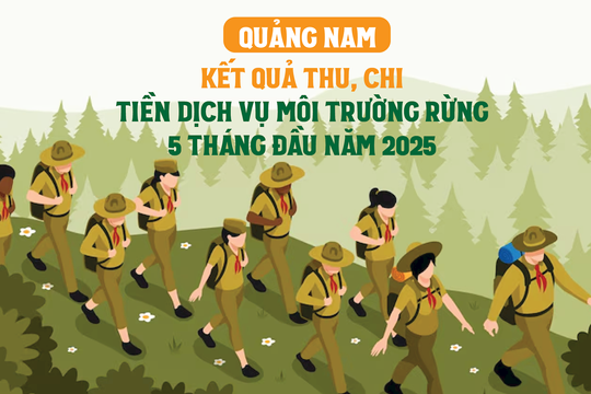 Quảng Nam: Kết quả thu, chi tiền dịch vụ môi trường rừng 5 tháng đầu năm 2025