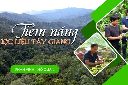 [eMagazine] - Tiềm năng dược liệu Tây Giang