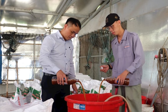 Tái sinh bã thải thành phân bón hữu cơ