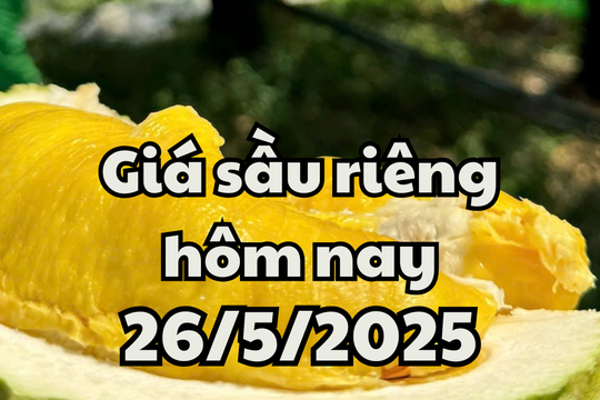 Giá sầu riêng hôm nay 26/5/2025: Tăng mạnh ở trong nước, sầu riêng Việt Nam bị "siết" vào Trung Quốc