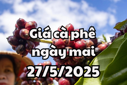 Tin tức, dự báo giá cà phê ngày mai 27/5/2025: Thị trường lao dốc không phanh, khó thoát khỏi 'cơn bão' giảm giá