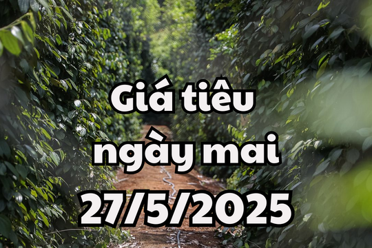Tin tức, dự báo giá tiêu ngày mai 27/5/2025 thị trường "thở lại", giá tiêu xuất khẩu đẩy giá trở lại