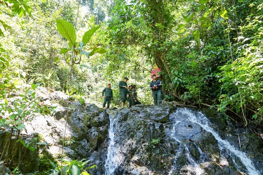 Chi trả dịch vụ môi trường rừng: Nâng cao năng lực giữ rừng chuyên nghiệp