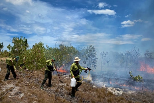 Cao điểm nắng nóng, Quảng Nam chủ động biện pháp phòng chống cháy rừng