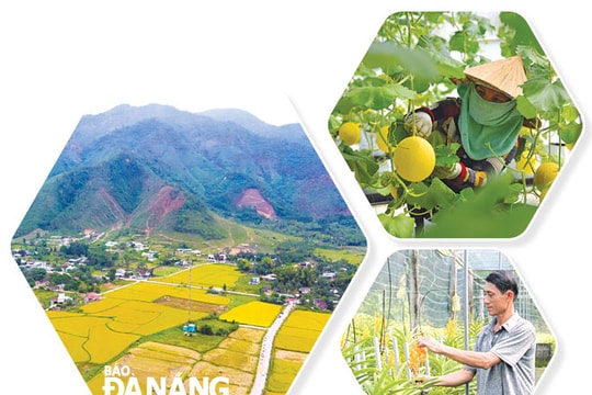 Tập huấn nghiệp vụ tổng điều tra nông thôn, nông nghiệp năm 2025