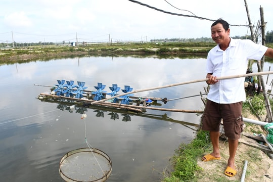 Chú trọng quan trắc môi trường, Quảng Nam thúc đẩy nuôi trồng thủy sản bền vững
