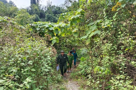 Cộng đồng Nam Giang chủ động giữ rừng