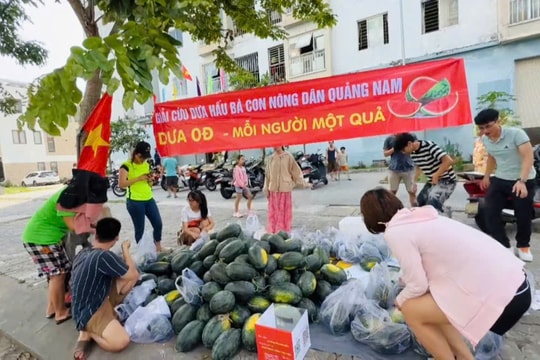 Chia sẻ với nông dân Quảng Nam, người trẻ "giải cứu" dưa hấu rớt giá