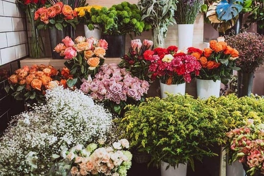 Shop hoa tươi Thanh Nhã – Dịch vụ đặt hoa online, giao hoa nhanh toàn quốc