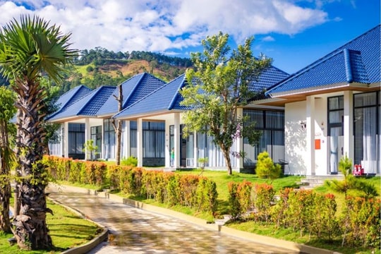 Tea Resort Prenn - Thiên đường nghỉ dưỡng giữa đại ngàn Đà Lạt