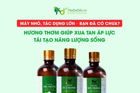 Tinh dầu NaDa Oils: Kiến tạo không gian đậm chất riêng với triết lý 'Thơm - Thanh - Thật'