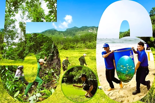 Ngày Môi trường thế giới 5/6: Nỗ lực phục hồi hệ sinh thái từ rừng xuống biển