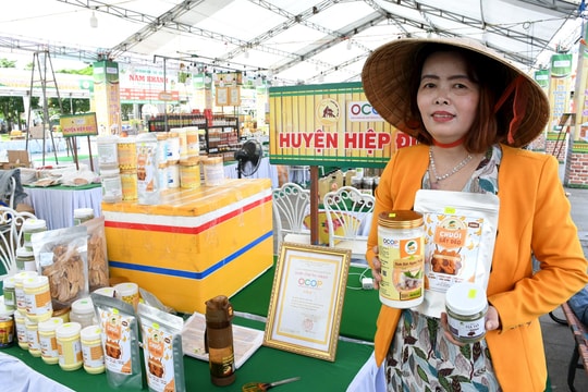 Liên kết để sản phẩm OCOP Quảng Nam đi xa