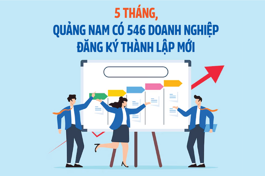 5 tháng, Quảng Nam có 546 doanh nghiệp đăng ký thành lập mới