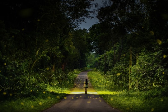 Chạm vào cõi “thần tiên”