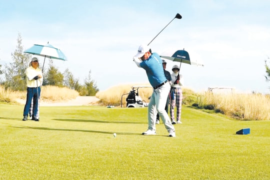 Nâng cấp trải nghiệm mùa hè