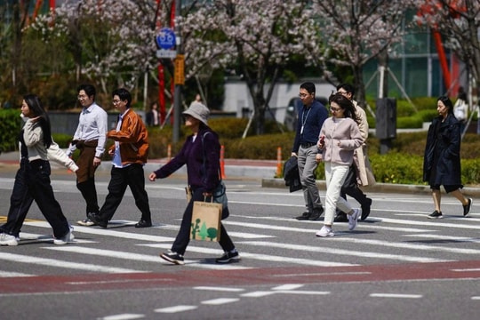 “Chữa lành” sự cô đơn